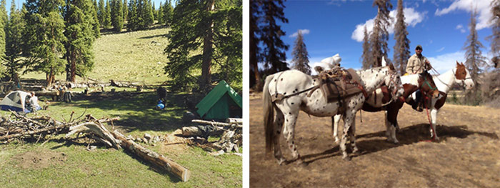 drop camp hunting colorado