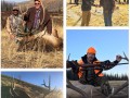 2017 hunting colorado1