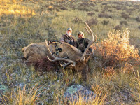 big game hunting elk 1