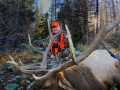 colorado big game hunting 01