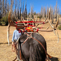 colorado big game hunting 03