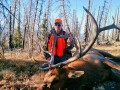 colorado big game hunting 04