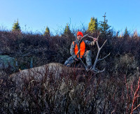 colorado big game hunting 06