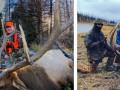 guided hunting creede