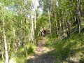 horseback riding creede colorado 03