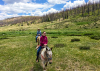 horseback riding creede colorado 06