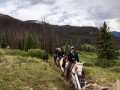 horseback riding creede colorado 08