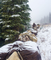 unit 76 colorado hunting07