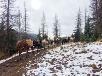 unit 76 colorado hunting08