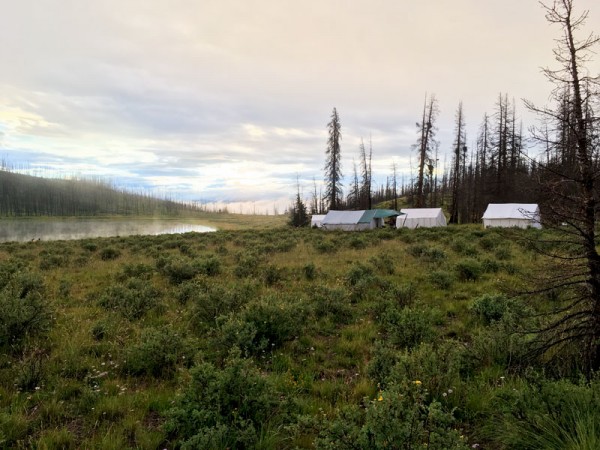 wilderness pack trip camp horse 01